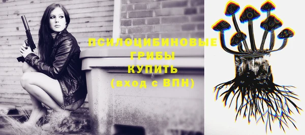 шишки Вязьма