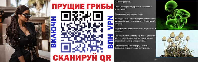 Галлюциногенные грибы Magic Shrooms  Купить  Курчалой 